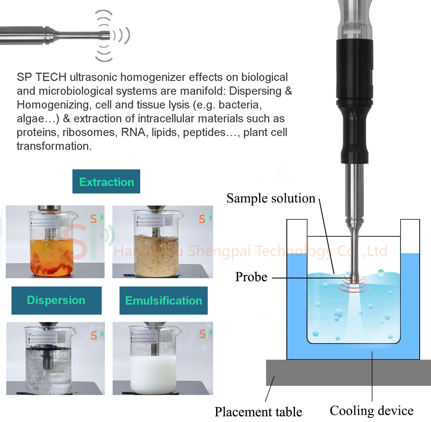 ultrasonic homogenizer